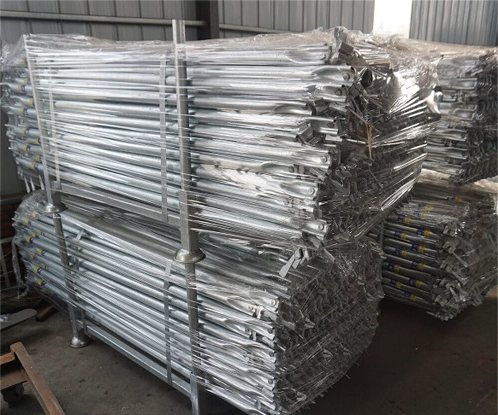 DSC01393 e1764004743695