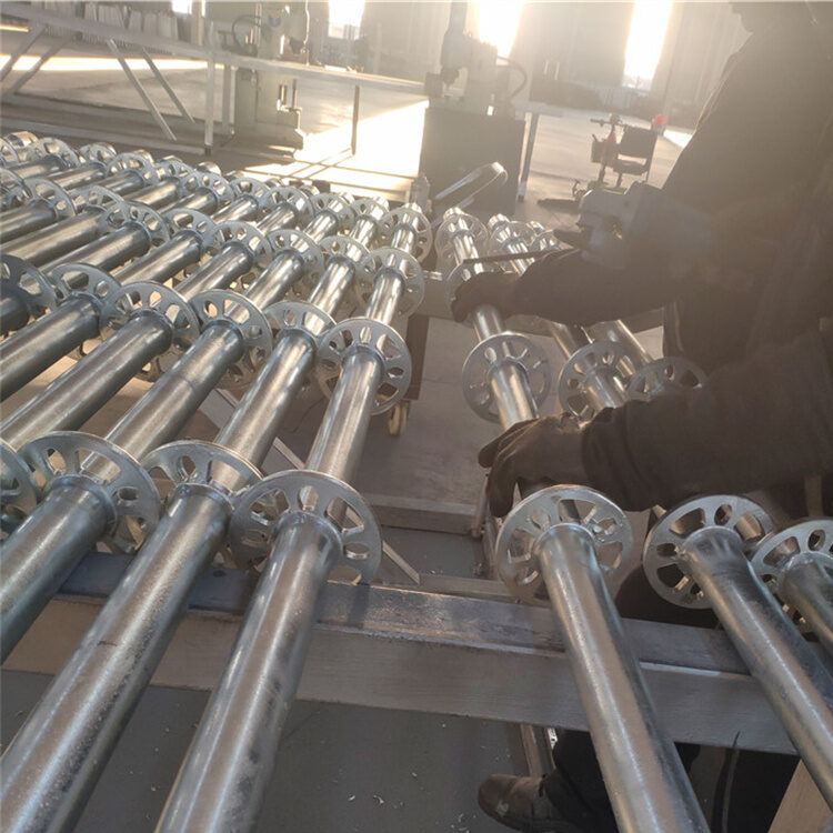 IMG 20211123 160031 e1763807251382